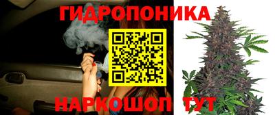 стафф Ливны