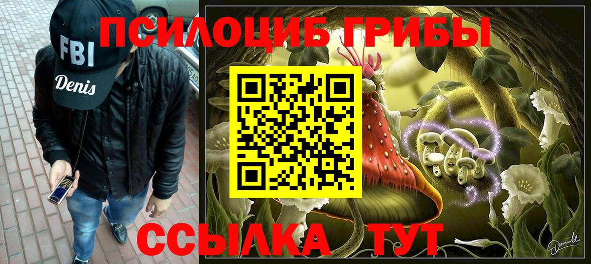 Галлюциногенные грибы Psilocybe Тулун